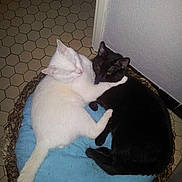 Damon a rejoint le concours — aidez-le/la à gagner de superbes lots !