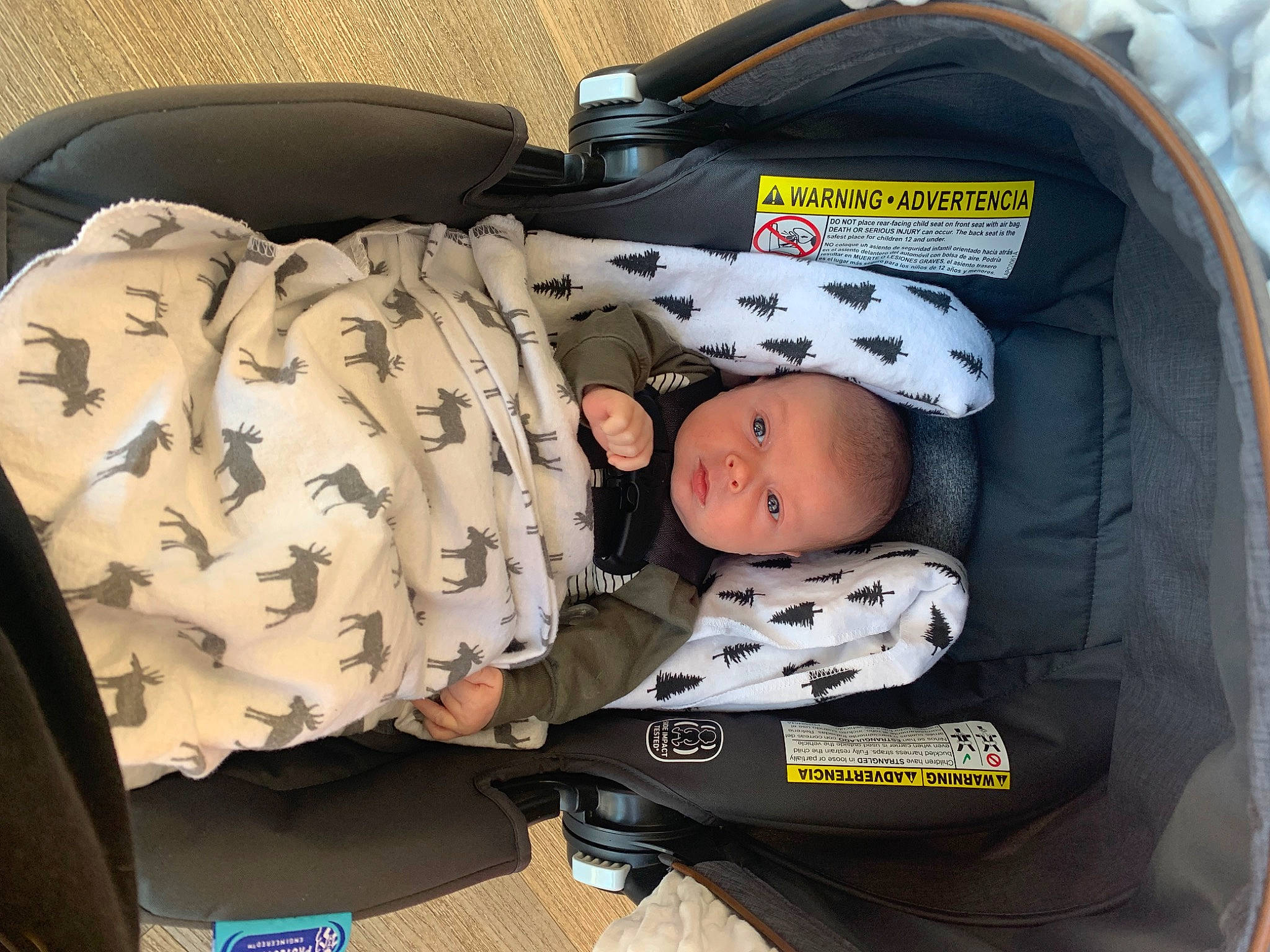 Winston joined the competition — help win amazing prizes! baby, baby_carriage, baby_products, baby_safety, baby_sleeping, baby_toddler_clothing, bag, baggage, car_seat, child, comfort, infant_bed, luggage_and_bags, nap, person, product, sitting, sleep, toddler