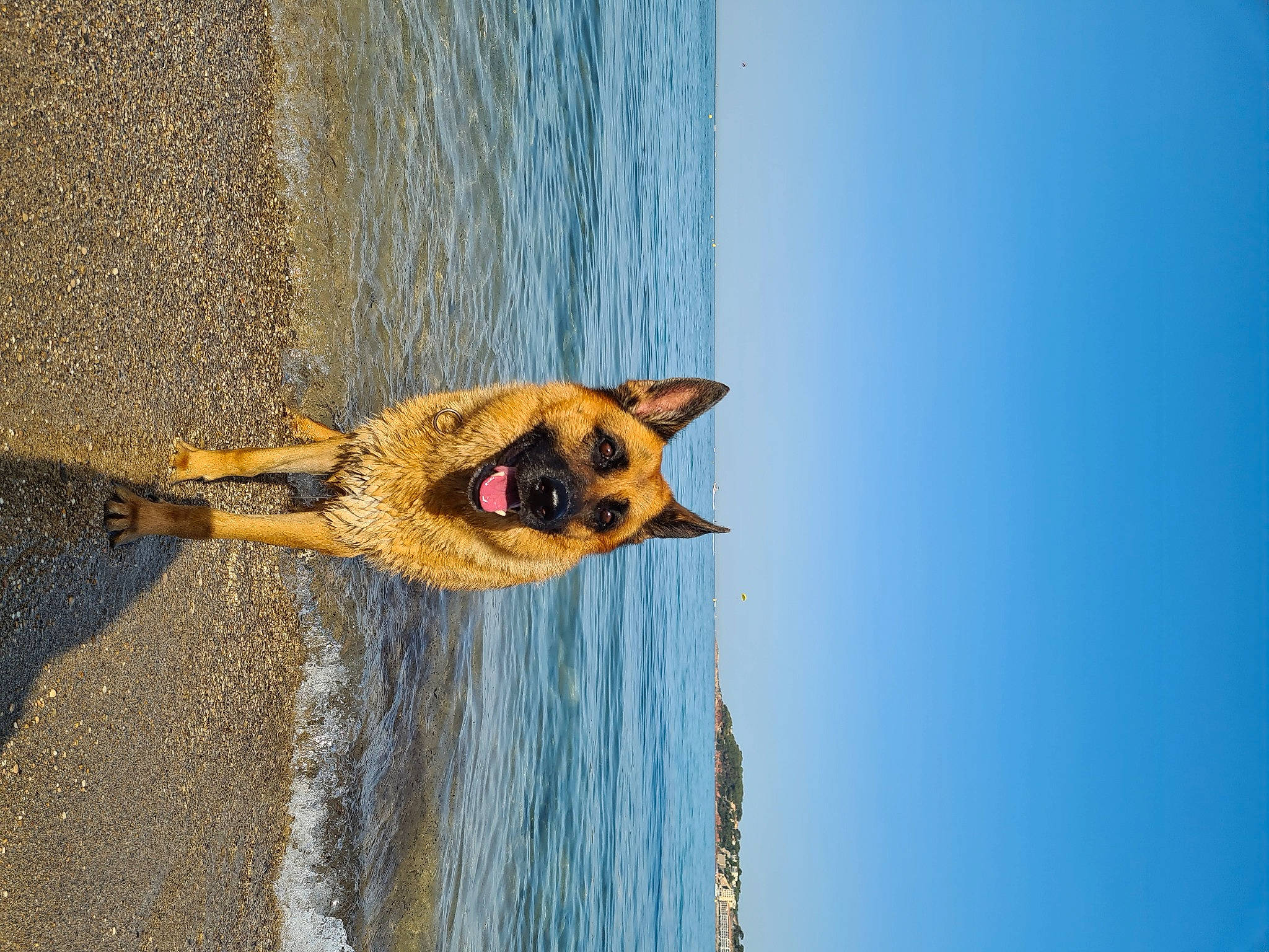 Jazzy participe au concours pour gagner de l'argent avec cette photo : azure, beach, body_of_water, carnivore, coast, door, happy, horizon, landscape, ocean, plant, reflection, rock, shadow, sky, water, wave, wind, wind_wave, wood