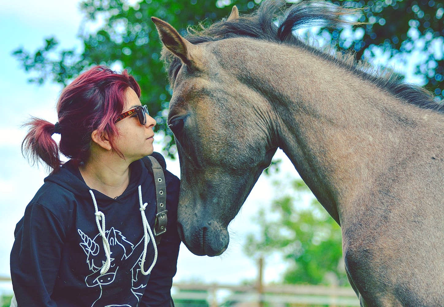 Marengo participe au concours pour gagner de l'argent avec cette photo :