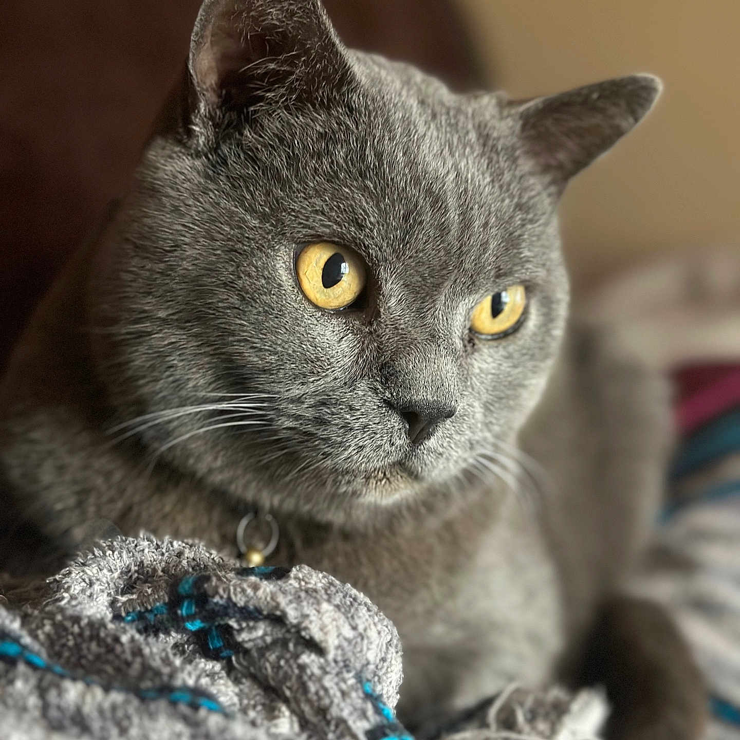 Harper