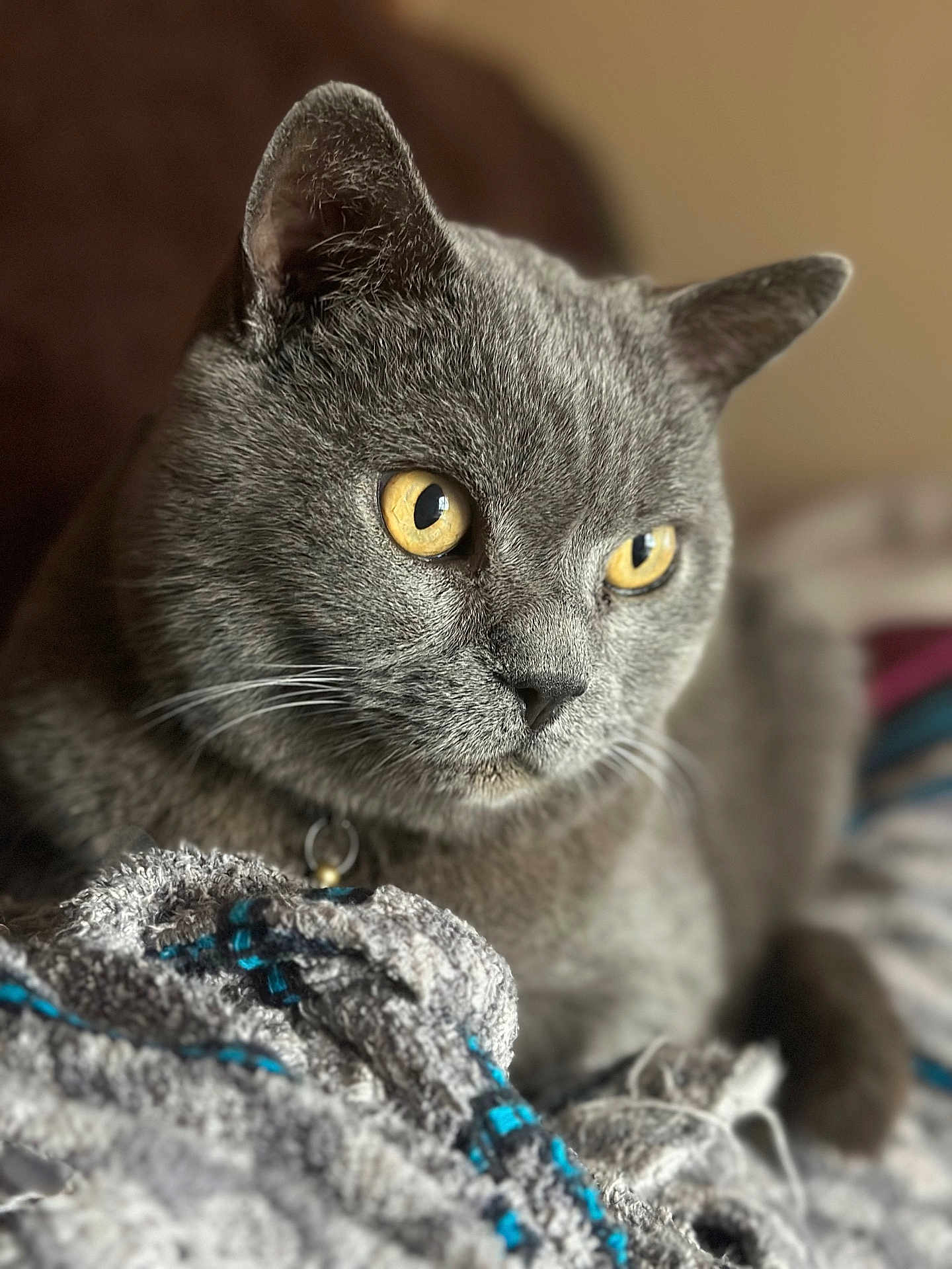 Harper