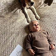 Léon participe au concours pour gagner de l'argent avec cette photo : baby, dog, beagle, blanket, card, six_mois, brown_clothing, textile, pet, indoor, milestone, curious, resting, portrait, cute, infant, animal, face, lying_down, cozy
