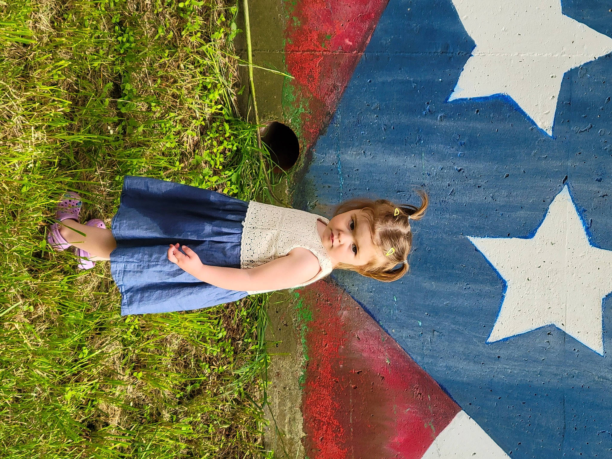 Charlee joined the competition — help win amazing prizes! art, astronomical_object, denim, dog, electric_blue, fun, grass, happy, human_leg, leg, leisure, pattern, people_in_nature, person, plant, red, shadow, star, t_shirt, tree