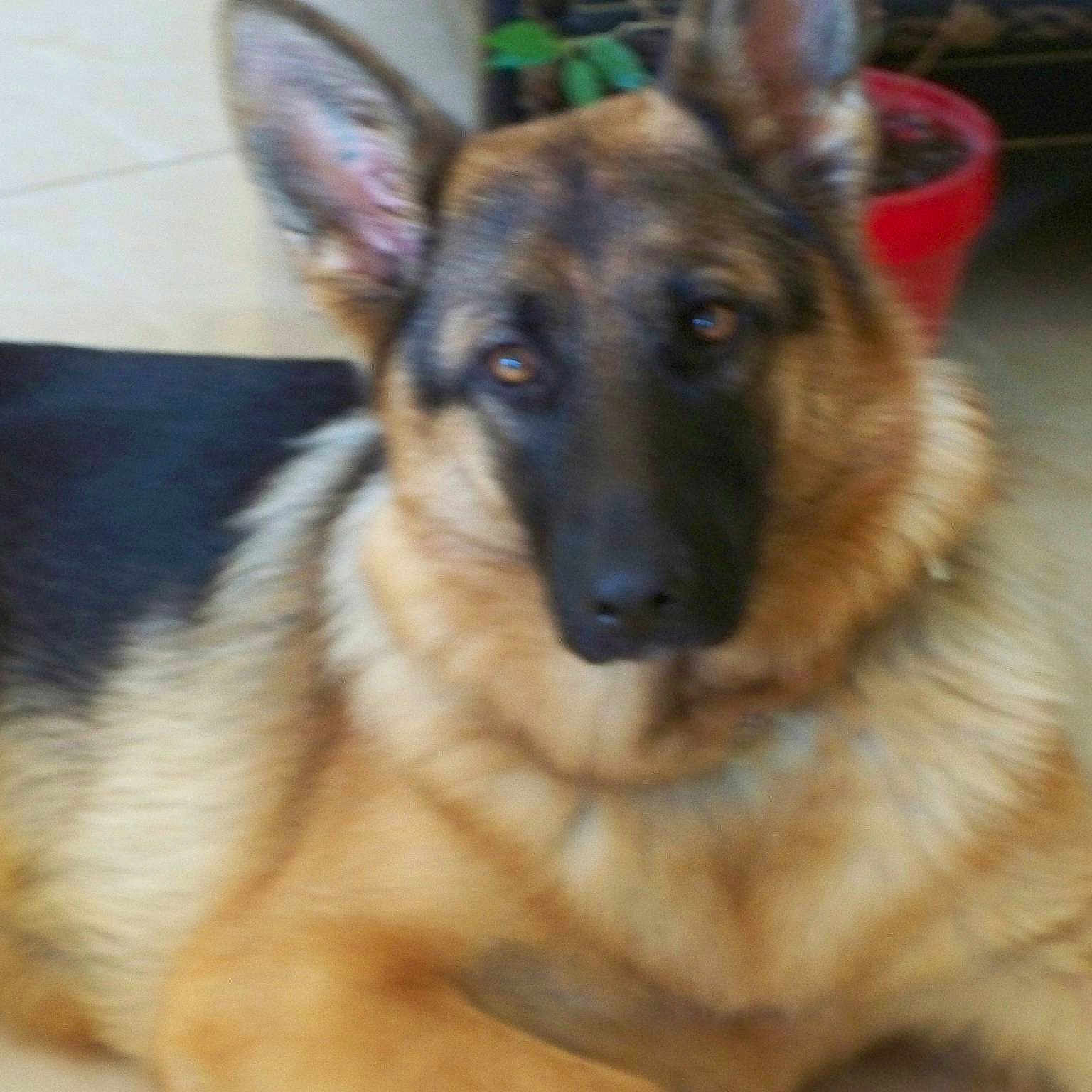 Indra