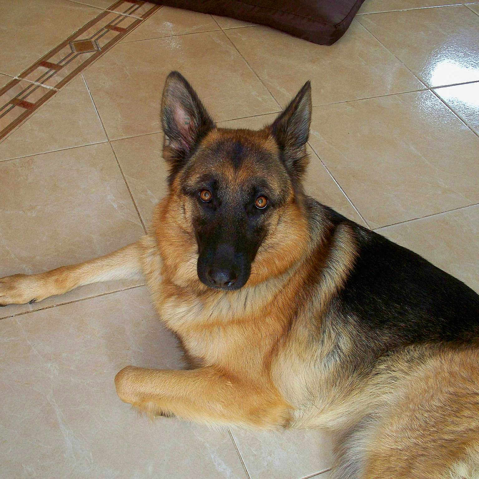 Indra