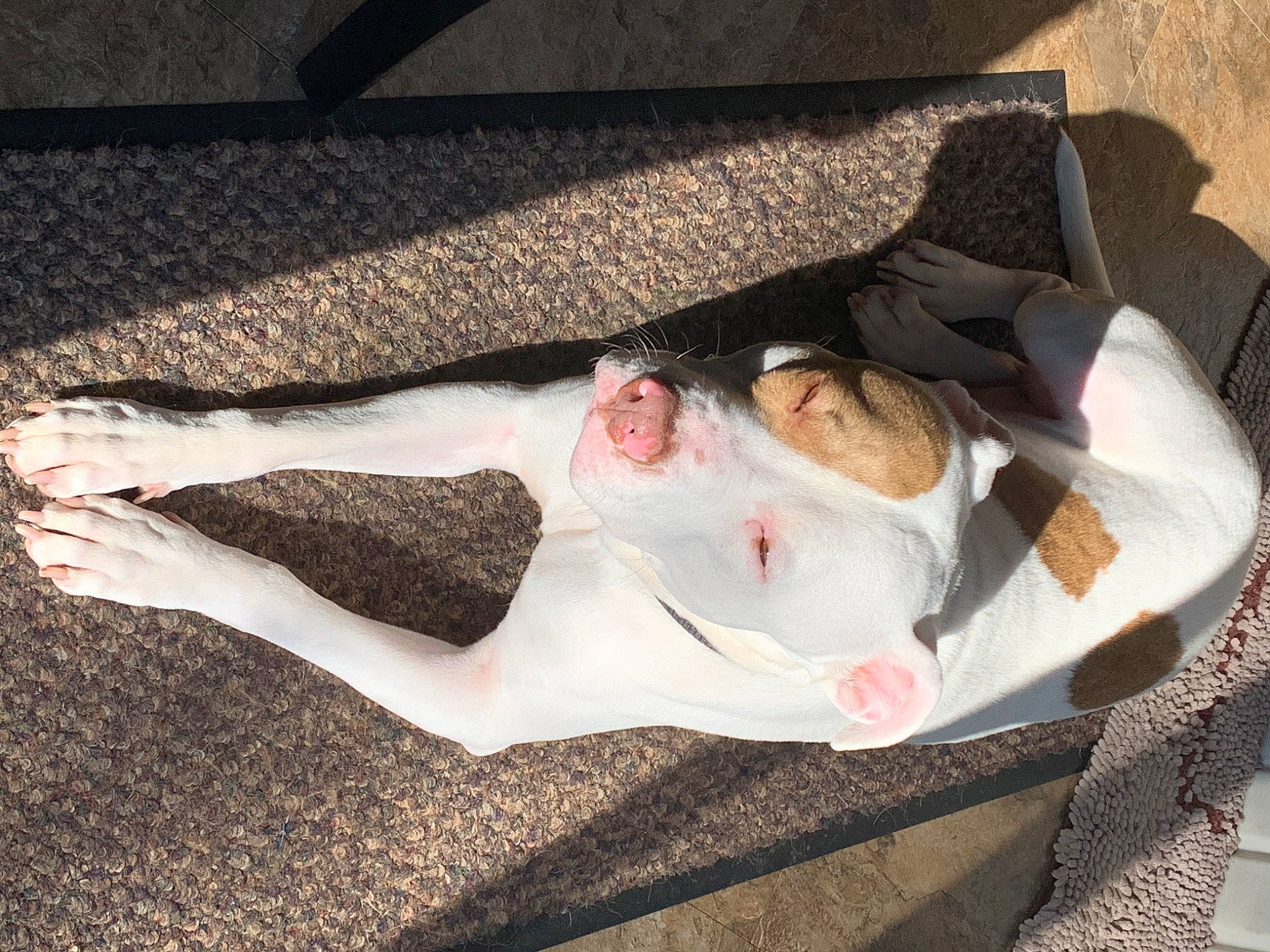 Ricochet is registered to the contest to win money with this photo: beauty, dress, human, leg, nap, sleep, square