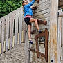 activity, adventure, child, climbing, daylight, denim_jacket, fun, gravel, nature, outdoor, person, play, playground, shoes, shorts, smile, socks, sport, trees, wood
