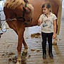 animal, animal_care, barn, calm, child, curious, dirt, doorway, floor, hay, hoof, horse, indoor, mane, metal_gate, pet, polo_shirt, riding_boots, stable, young_girl