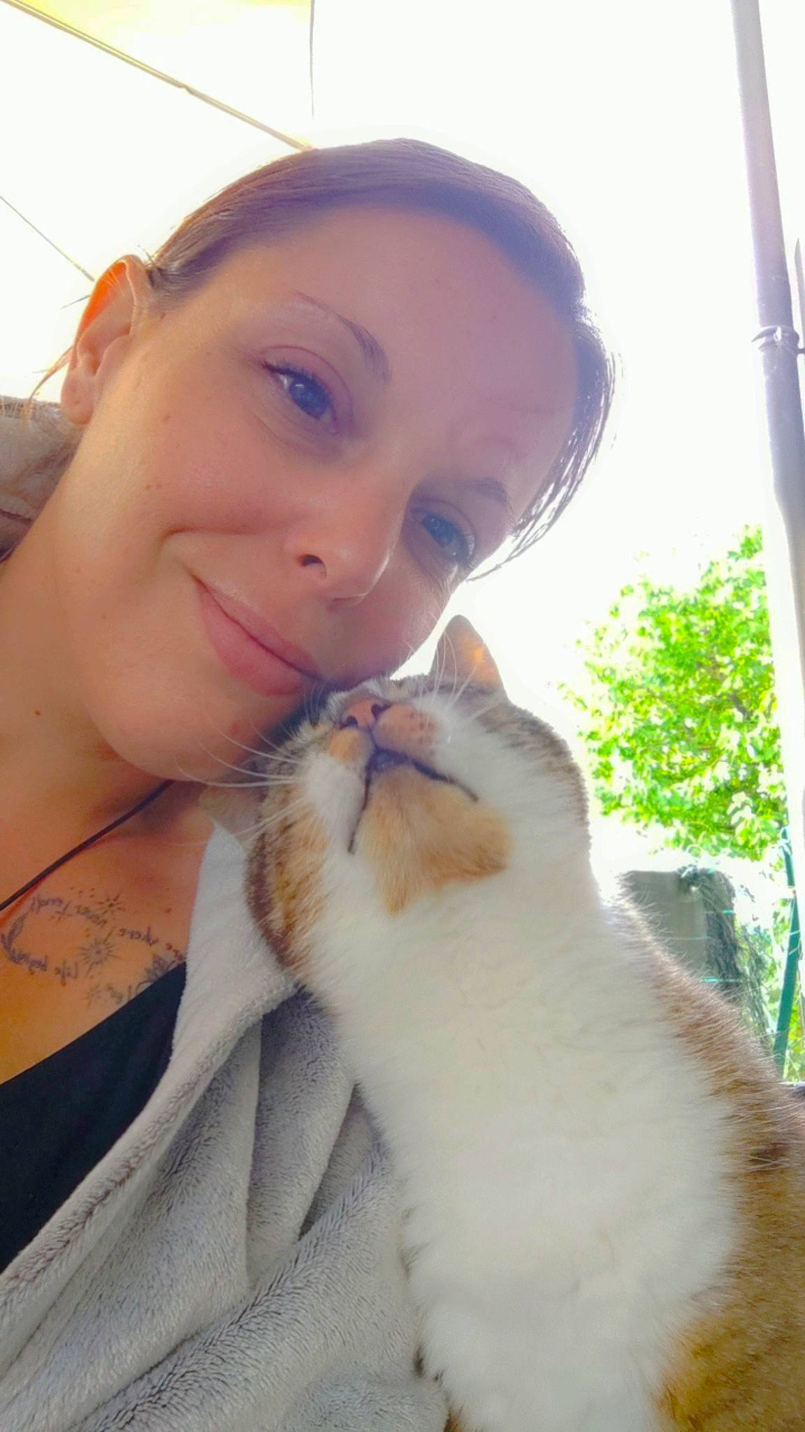 Bobby a rejoint le concours — aidez-le/la à gagner de superbes lots ! carnivore, cat, companion_dog, domestic_short_haired_cat, eye, eyewear, fawn, felidae, fur, grass, happy, selfie, sky, small_to_medium_sized_cats, smile, tree, whiskers