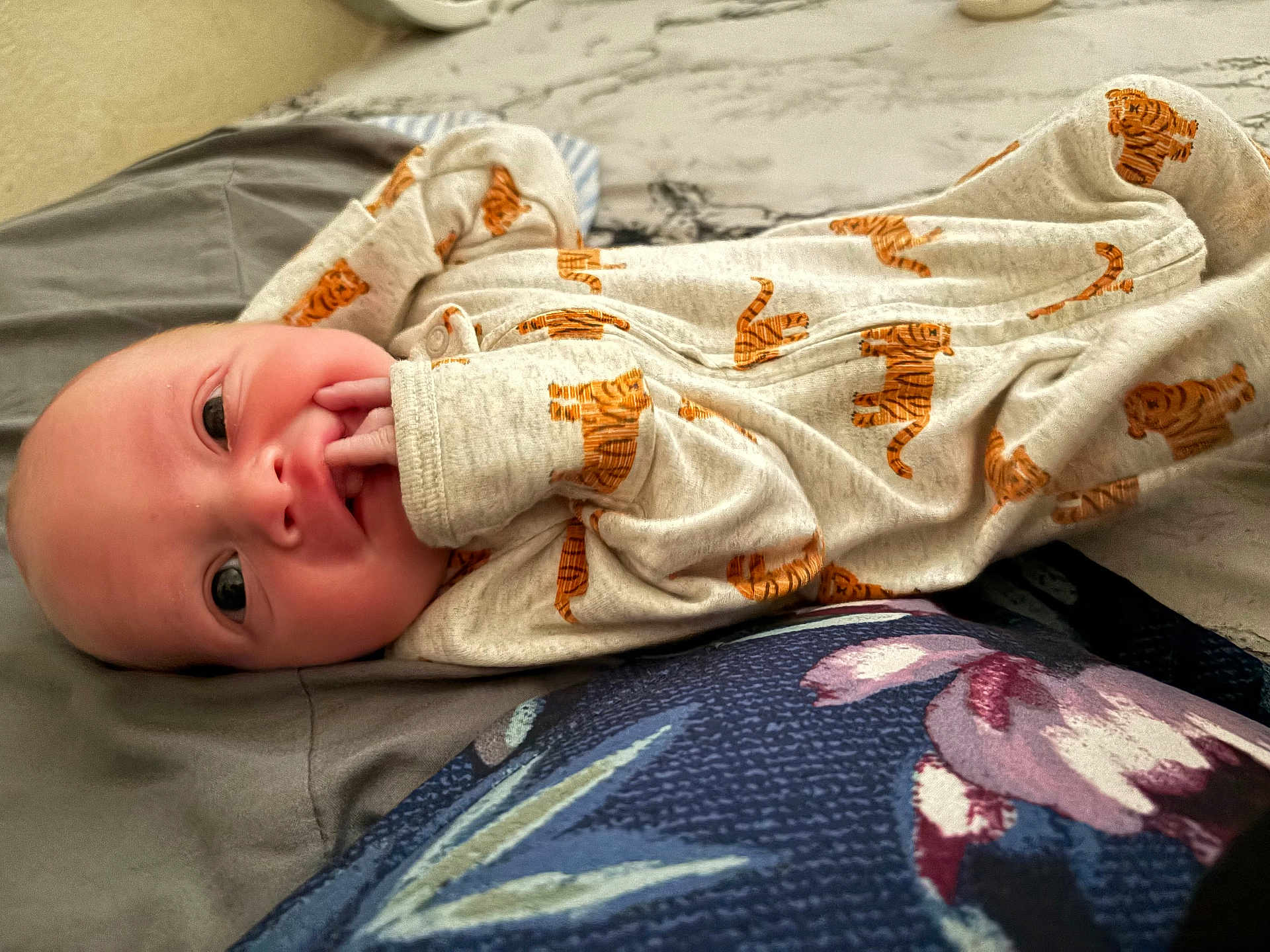 Dutton joined the competition — help win amazing prizes! baby, infant, onesie, tiger_print, hand, face, eyes, blanket, cushion, fabric, lying_down, cozy, cute, newborn, skin, small_fingers, bed, soft, comfort, portrait