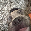Lilou C.