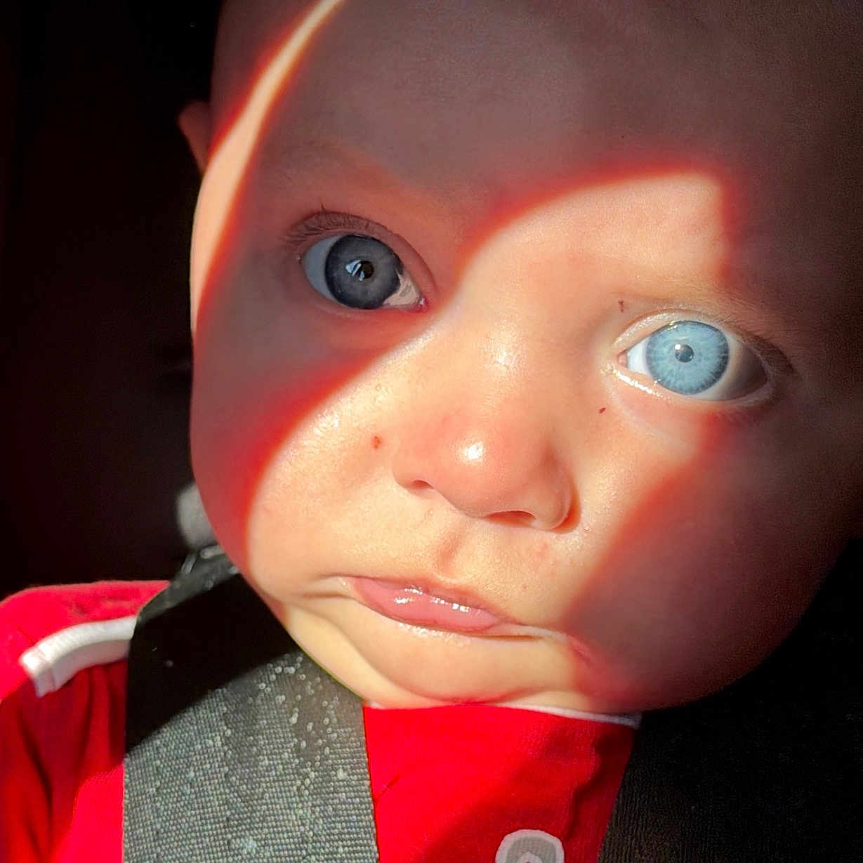 Dominic joined the competition — help win amazing prizes! baby, blue_eyes, face, child, red_clothing, seatbelt, closeup, portrait, infant, skin, expression, sunlight, shadow, indoor, person, young_child, cute, human, head, eyes