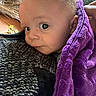 Jaxon joined the competition — help win amazing prizes! baby, blanket, close_up, cozy, curious, eye, face, hair, hand, indoor, infant, person, portrait, purple, resting, skin, soft, sweater, texture, warm_light