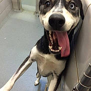 Maybel is registered to the contest to win money with this photo: