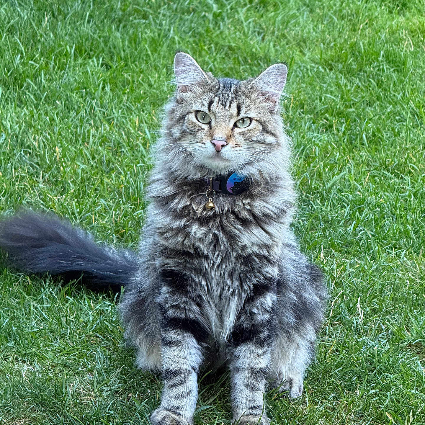 Leo
