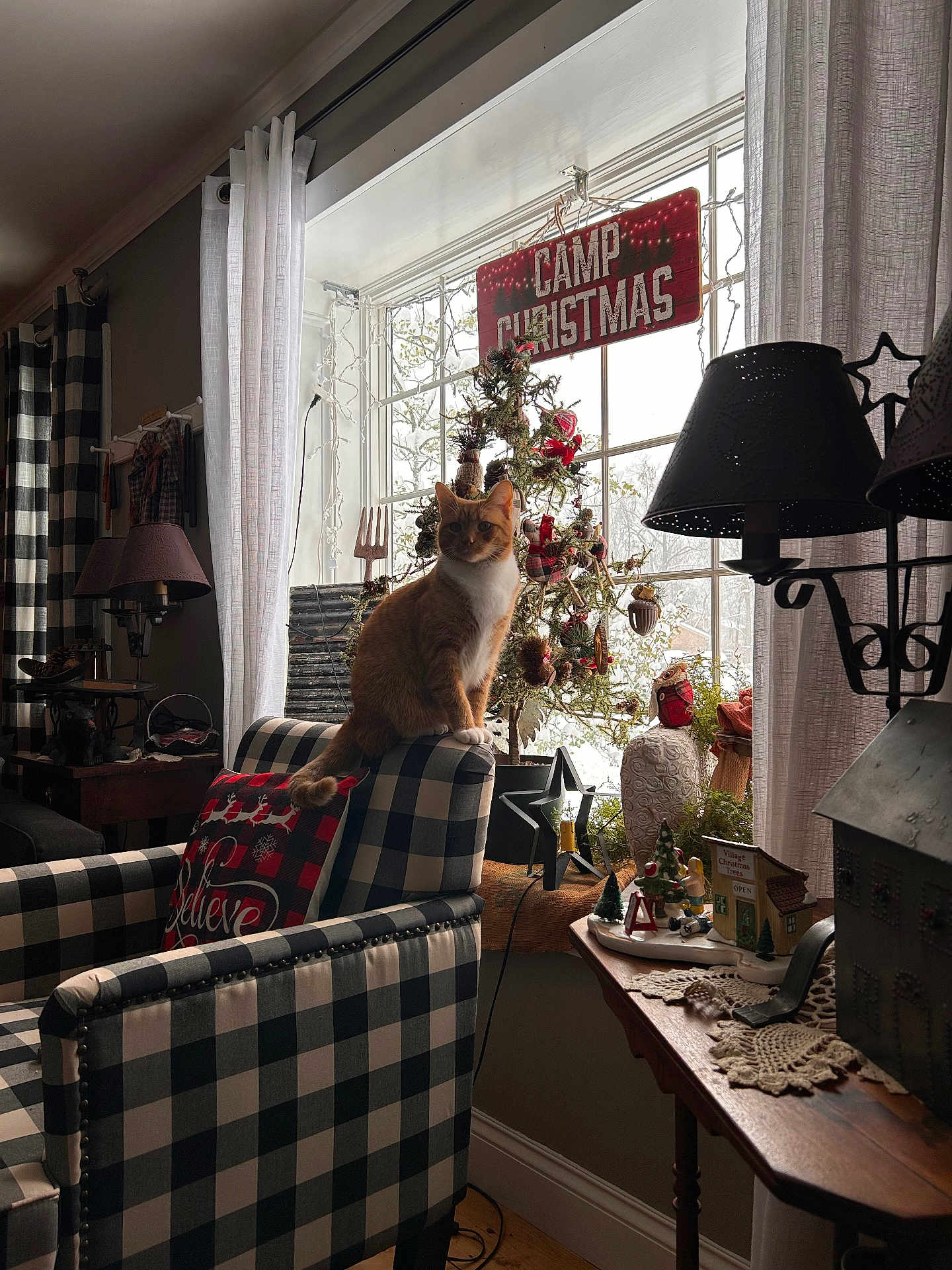Hopper is registered to the contest to win money with this photo: cat, chair, window, christmas_tree, decorations, curtains, lamp, pillow, snow, indoor, holiday, cozy, orange_cat, checkered_pattern, wooden_table, figurines, plaid, ornaments, festive, living_room