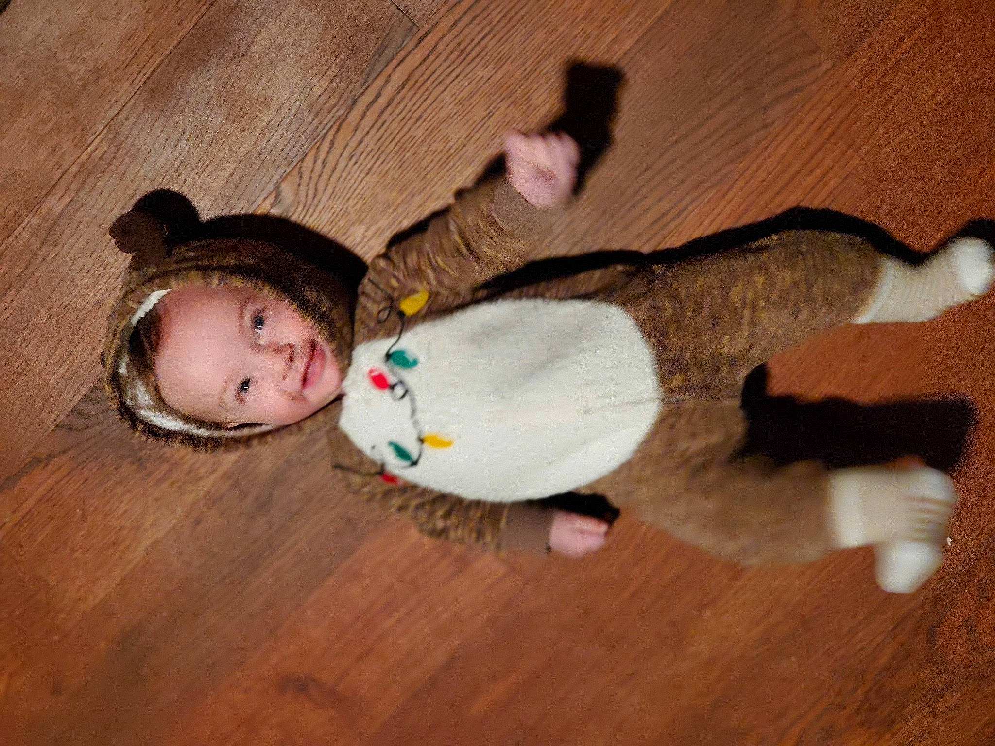 Kingsley is registered to the contest to win money with this photo: baby, baby_toddler_clothing, costume, costume_accessory, eye, fawn, floor, flooring, fur, hair_accessory, hardwood, hime_cut, laminate_flooring, person, skin, stuffed_toy, textile, toddler, wood, wood_flooring