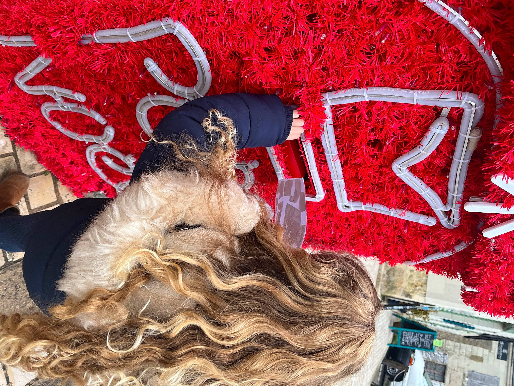 Ashley participe au concours pour gagner de l'argent avec cette photo : art, carmine, companion_dog, costume_hat, event, fashion_accessory, feather, felidae, font, fur, handwriting, hat, holiday, mask, pattern, textile, toy, tradition, visual_arts, wood