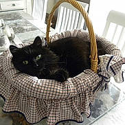 Erika a rejoint le concours — aidez-le/la à gagner de superbes lots !