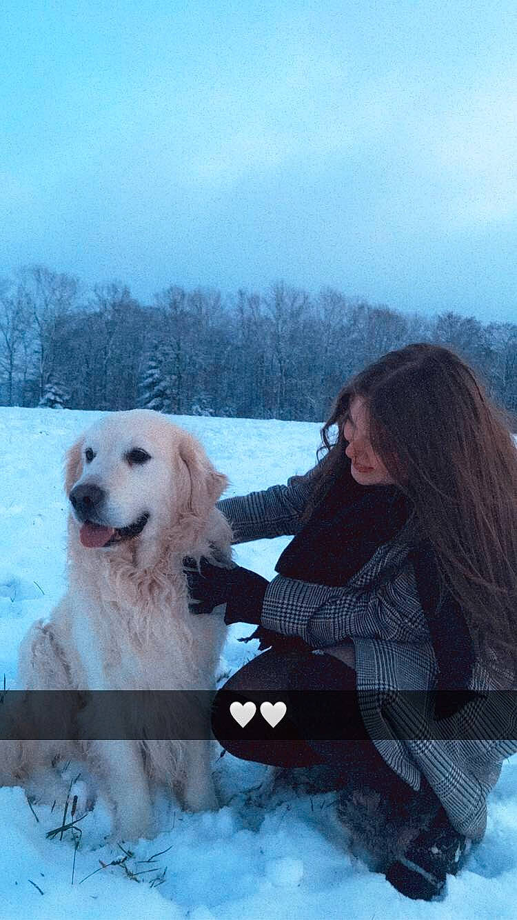 Ilux participe au concours pour gagner de l'argent avec cette photo : canidae, carnivore, cloud, companion_dog, dog, dog_breed, freezing, fun, fur, great_pyrenees, happy, ice_cap, playing_in_the_snow, recreation, sky, snow, sporting_group, tree, white, winter