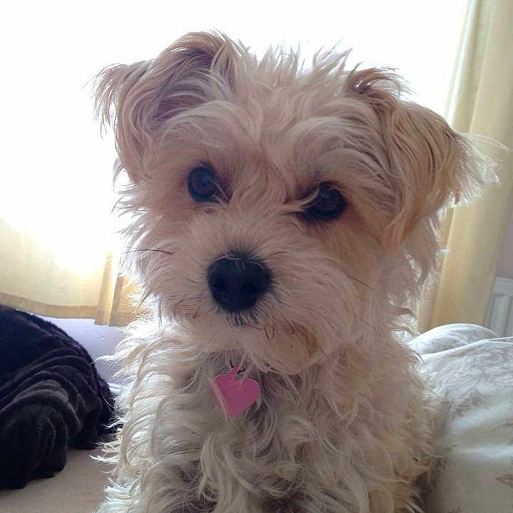 Bonnie