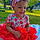 Cimani J.