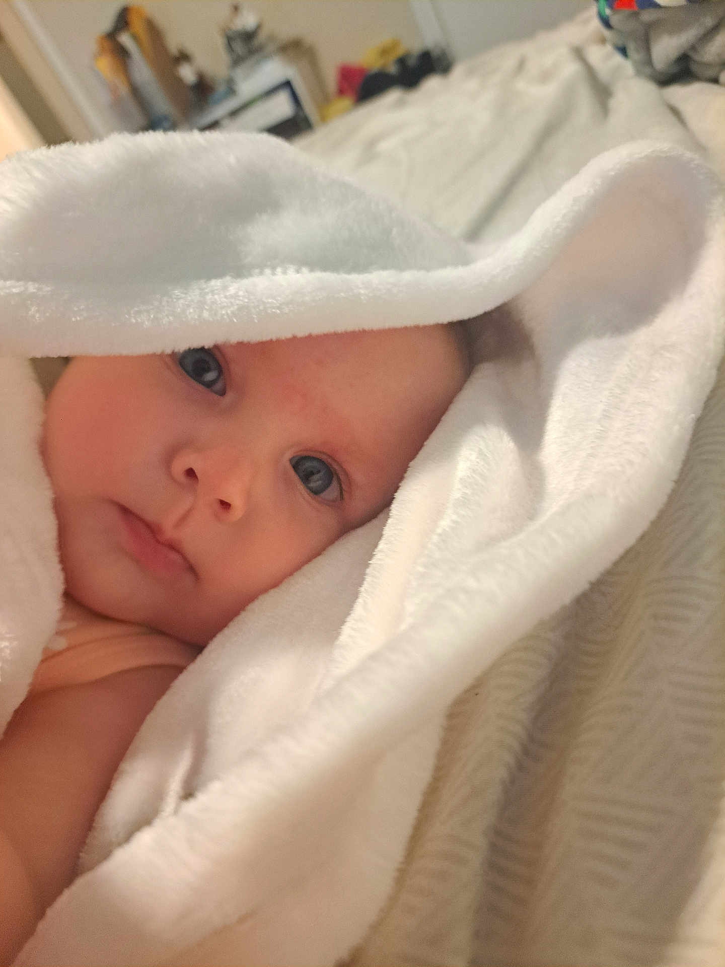 Sylphiette is registered to the contest to win money with this photo: baby, infant, face, eyes, blanket, towel, white, soft, skin, close_up, portrait, cute, child, indoors, bed, comfort, warmth, resting, newborn, wrapped