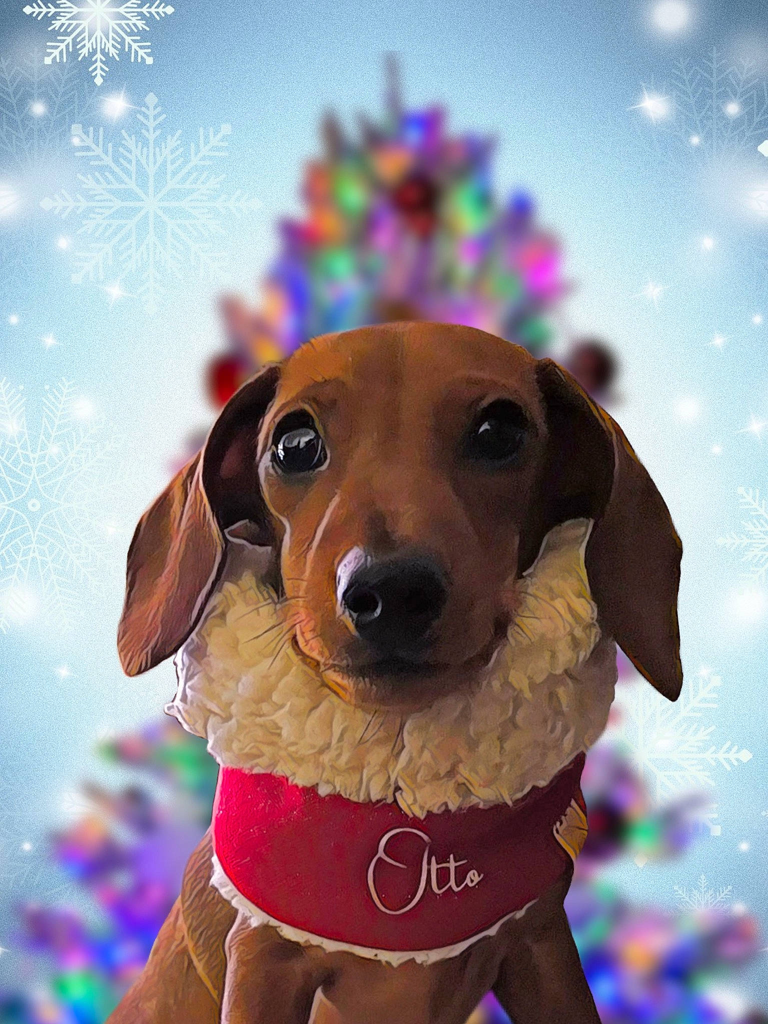 Otto is registered to the contest to win money with this photo: carnivore, christmas, collar, companion_dog, dog, dog_breed, dog_clothes, dog_collar, dog_supply, event, fawn, happy, liver, mammal, snout, snow, sporting_group, whiskers, winter, working_animal