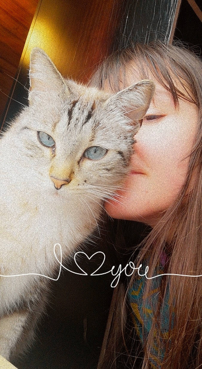 Maggy a rejoint le concours — aidez-le/la à gagner de superbes lots ! carnivore, cat, claw, domestic_short_haired_cat, ear, eyelash, fawn, felidae, fur, gesture, happy, hug, nose, paw, photo_caption, small_to_medium_sized_cats, snout, whiskers, wildlife, window