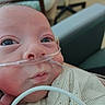 Koda is registered to the contest to win money with this photo: baby, care, close_up, clothing, cute, face, healthcare, hospital, indoors, infant, medical_equipment, nasal_cannula, newborn, oxygen_tube, patient, person, resting, skin, sweater, young_child