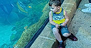 Raiden is registered to the contest to win money with this photo: child, boy, aquarium, glass, reflection, tank_top, yellow_clothing, stone_ledge, fish, water, underwater, casual_clothing, shorts, shoes, person, curious, sitting, indoor, blue, reflection_in_glass