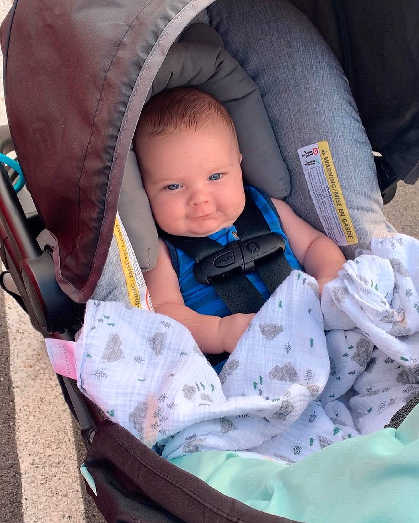 Damien is registered to the contest to win money with this photo: auto_part, baby, baby_carriage, baby_products, baby_safety, baby_toddler_clothing, car_seat, carmine, chair, child, comfort, electric_blue, fashion_accessory, grass, lap, pattern, person, sitting, skin, sleeve