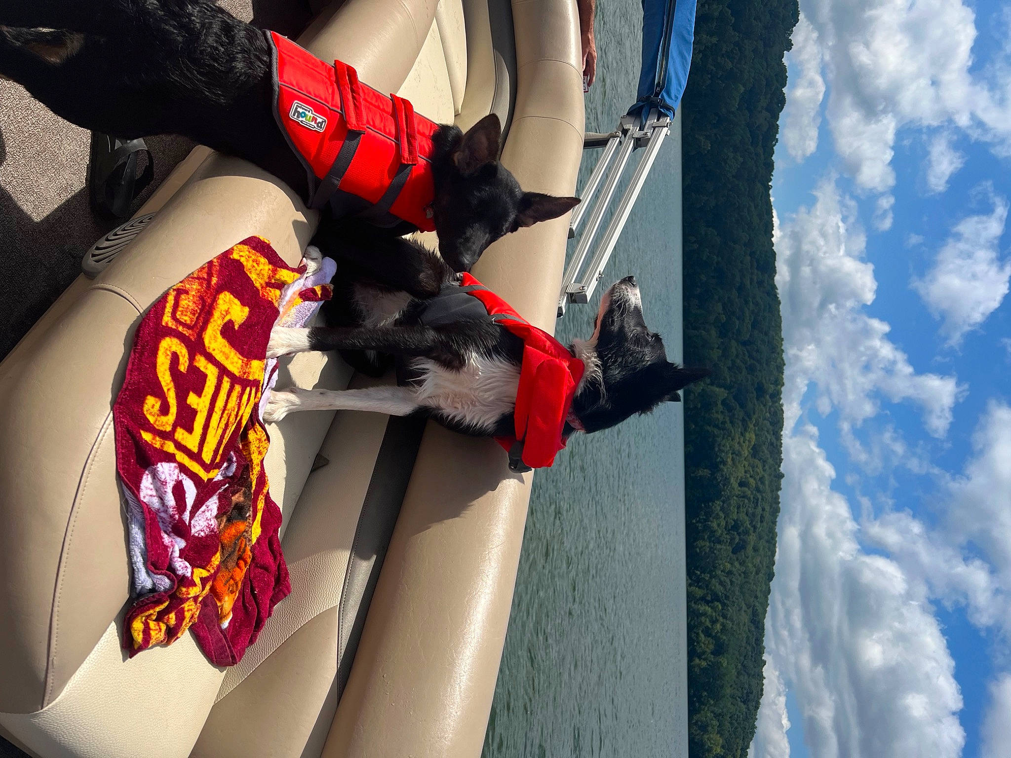 Sirius joined the competition — help win amazing prizes! adventure, blue, carmine, cloud, dog, fictional_character, fur, glove, hat, helmet, personal_protective_equipment, recreation, sky, sports_gear, sportswear, uniform, water, white, wing, winter