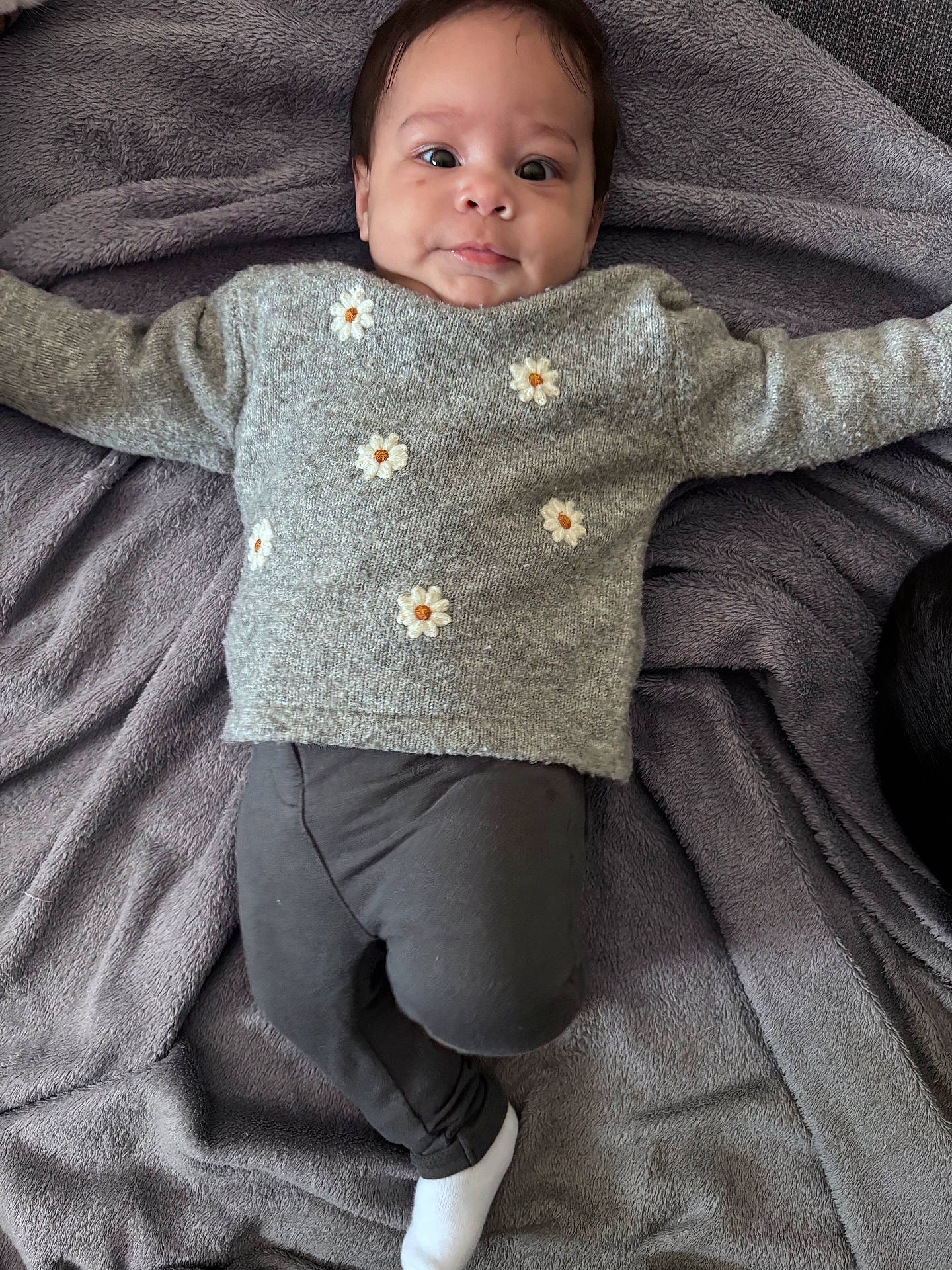 baby, black_pants, blanket, child, clothing, comfortable, cozy, cute, daisy_embroidery, expression, face, gray_sweater, head, indoors, infant, lying_down, person, portrait, soft_texture, white_sock