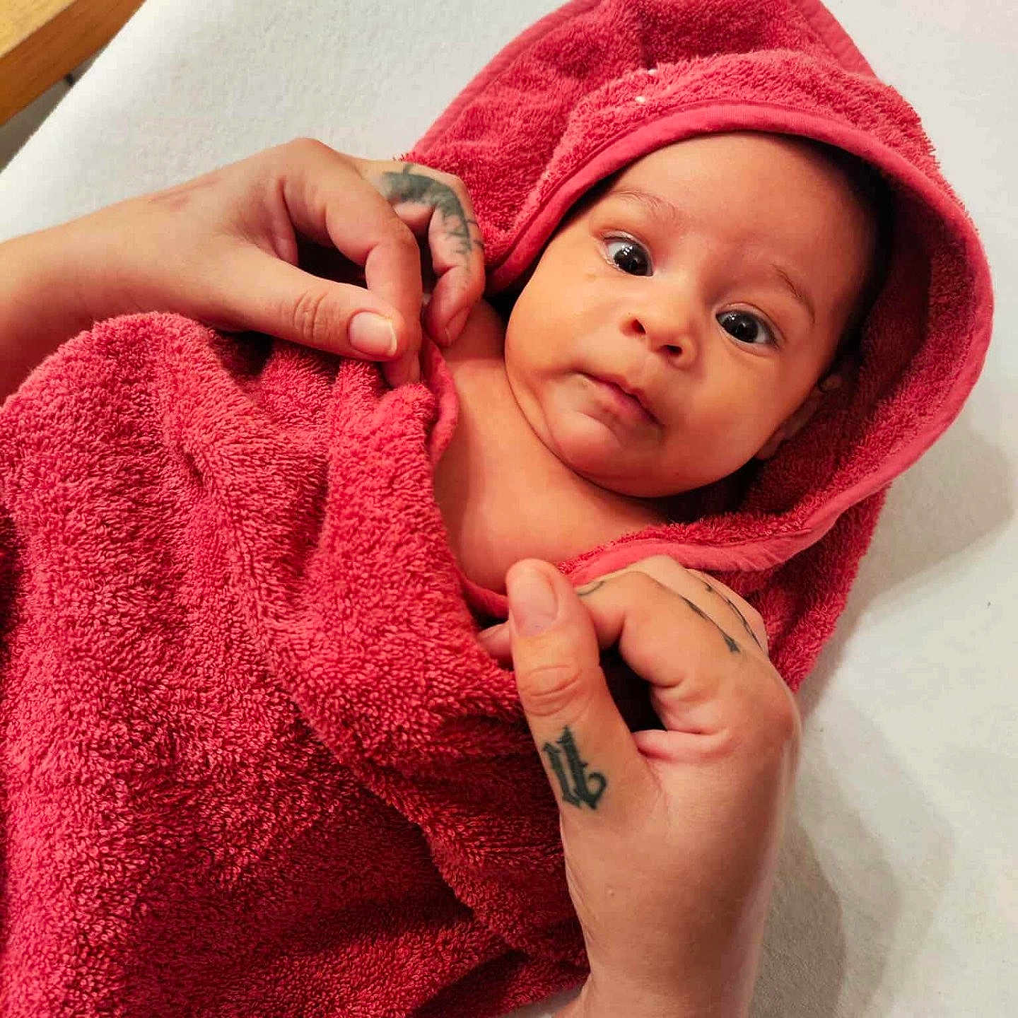 Swannie a rejoint le concours — aidez-le/la à gagner de superbes lots ! baby, blanket, care, child, closeup, cute, expression, face, hands, indoor, infant, newborn, person, portrait, red_towel, skin, soft_texture, tattoo, towel, warm