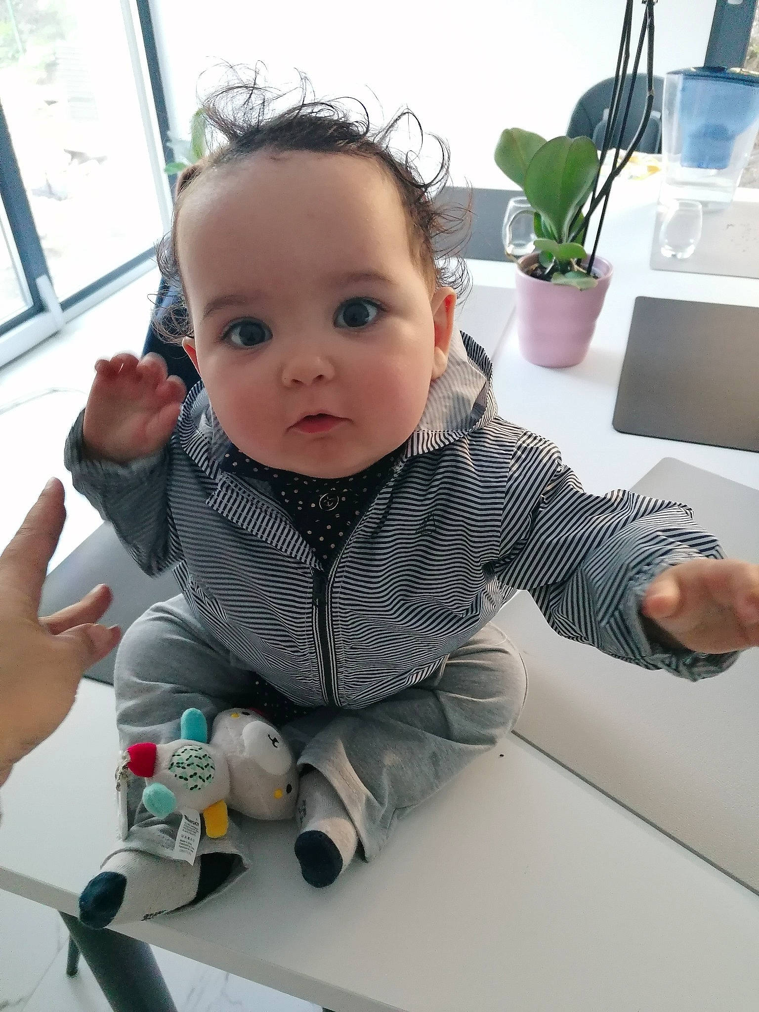 Loris participe au concours pour gagner de l'argent avec cette photo : baby, baby_products, baby_safety, baby_toddler_clothing, cheek, child, comfort, finger, flowerpot, gesture, hand, houseplant, iris, person, plant, product, sitting, skin, sleeve, thumb