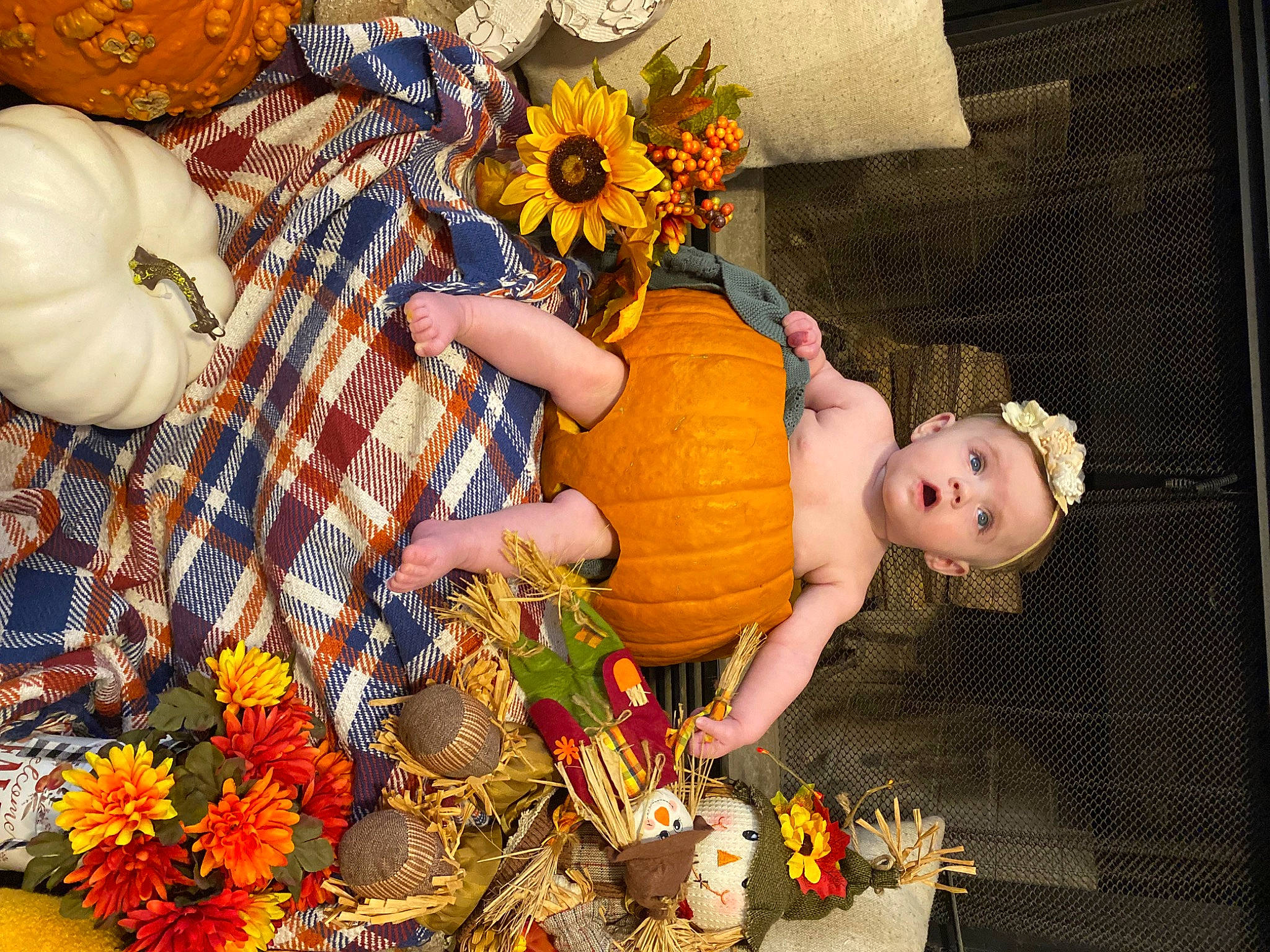 Ryan is registered to the contest to win money with this photo: calabaza, child, cucurbita, dress, event, flower, flower_arranging, fun, gourd, happy, natural_foods, orange, person, plant, pumpkin, squash, surprise, toy, tree, vegetable
