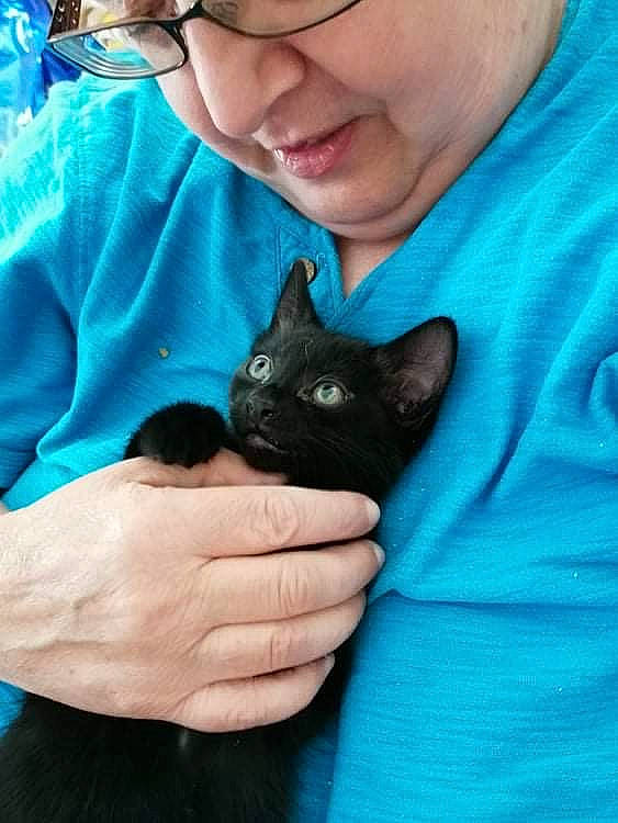 Willow is registered to the contest to win money with this photo: beard, blue, carnivore, cat, comfort, ear, electric_blue, eye, fawn, felidae, finger, fur, gesture, hair, hand, organ, small_to_medium_sized_cats, smile, snout, whiskers