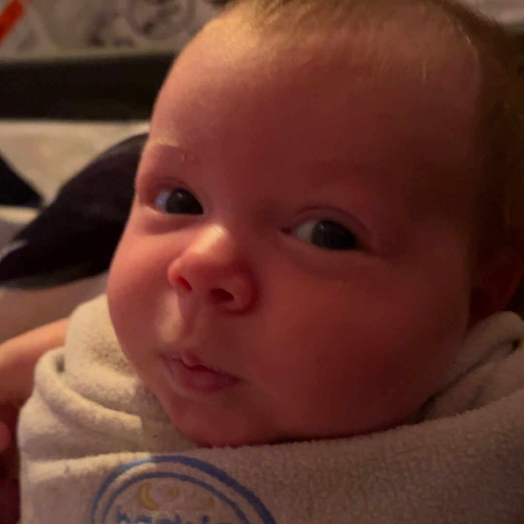 Bellatrix joined the competition — help win amazing prizes! animal, baby, blanket, bodypart, can, cat, clothing, face, finger, hand, head, knitwear, newborn, person, pet, photography, portrait, sweater, tin, towel