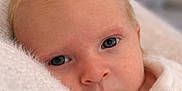Sacha participe au concours pour gagner de l'argent avec cette photo : baby, newborn, infant, face, eyes, blanket, soft, portrait, closeup, skin, cute, child, peaceful, wrapped, warm, young, resting, indoor, person, newborn_baby