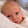baby, newborn, infant, face, eyes, blanket, soft, portrait, closeup, skin, cute, child, peaceful, wrapped, warm, young, resting, indoor, person, newborn_baby