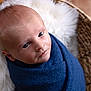 baby, newborn, swaddled, blanket, blue, basket, wicker, fluffy, white, face, head, infant, cozy, cute, portrait, sleep, resting, soft, child, indoors