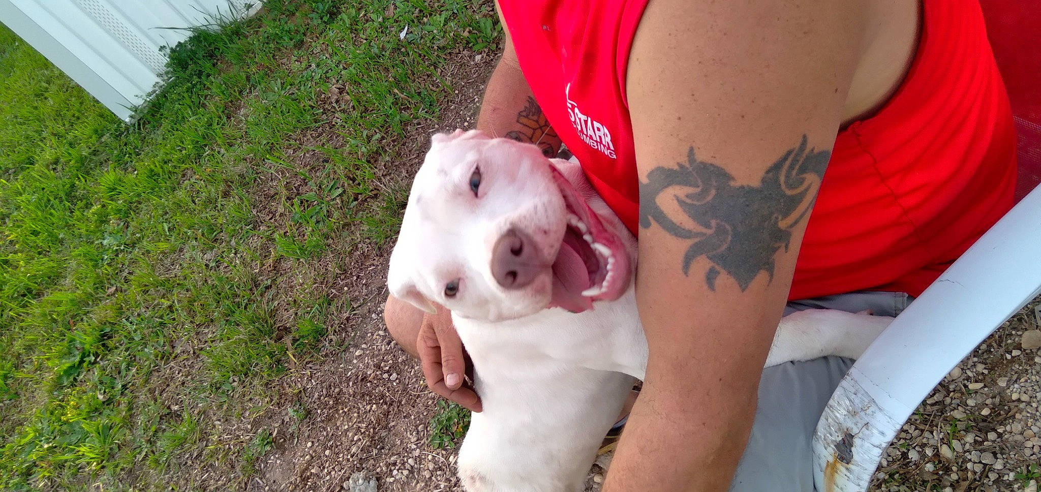 Nora Gene is registered to the contest to win money with this photo: abdomen, calf, carmine, chest, companion_dog, cover_up, elbow, finger, flesh, grass, human_leg, nail, pattern, sleeve, tattoo, temporary_tattoo, thigh, trunk, wing, wrist