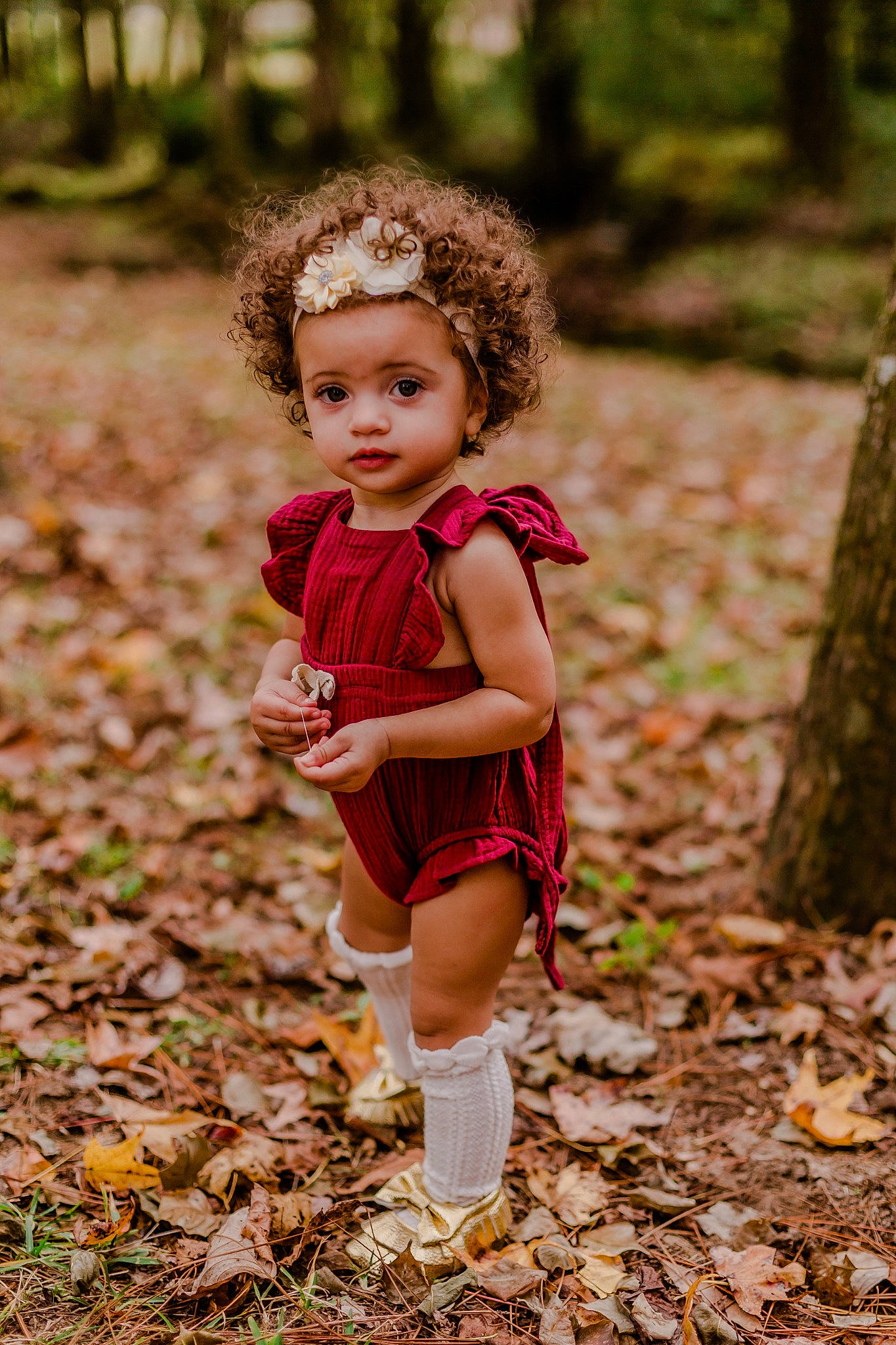 Adalyn joined the competition — help win amazing prizes! autumn, baby, beauty, child, child_model, dress, fawn, forest, grass, leaf, people, people_in_nature, person, photo_shoot, photography, pink, plant, recreation, toddler, tree