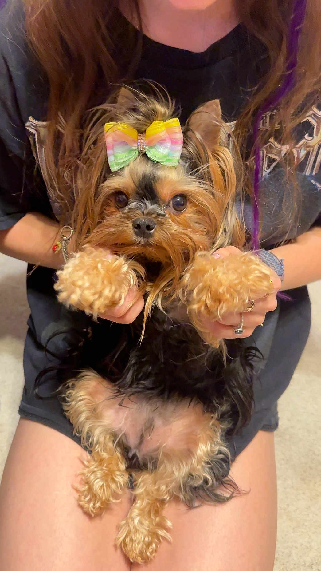 Gigi