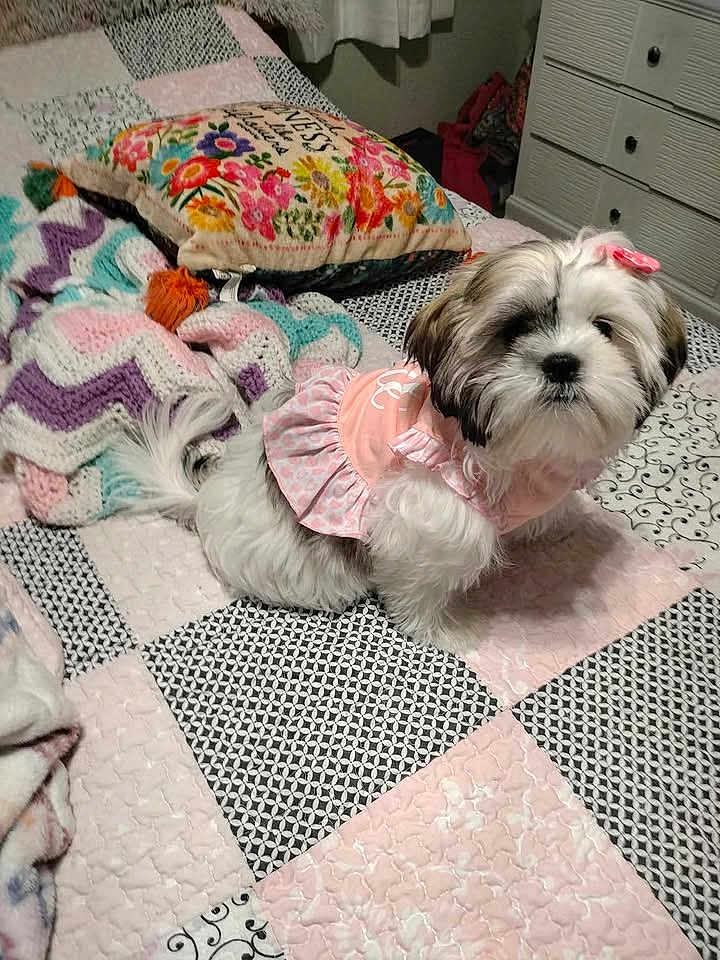 Bella