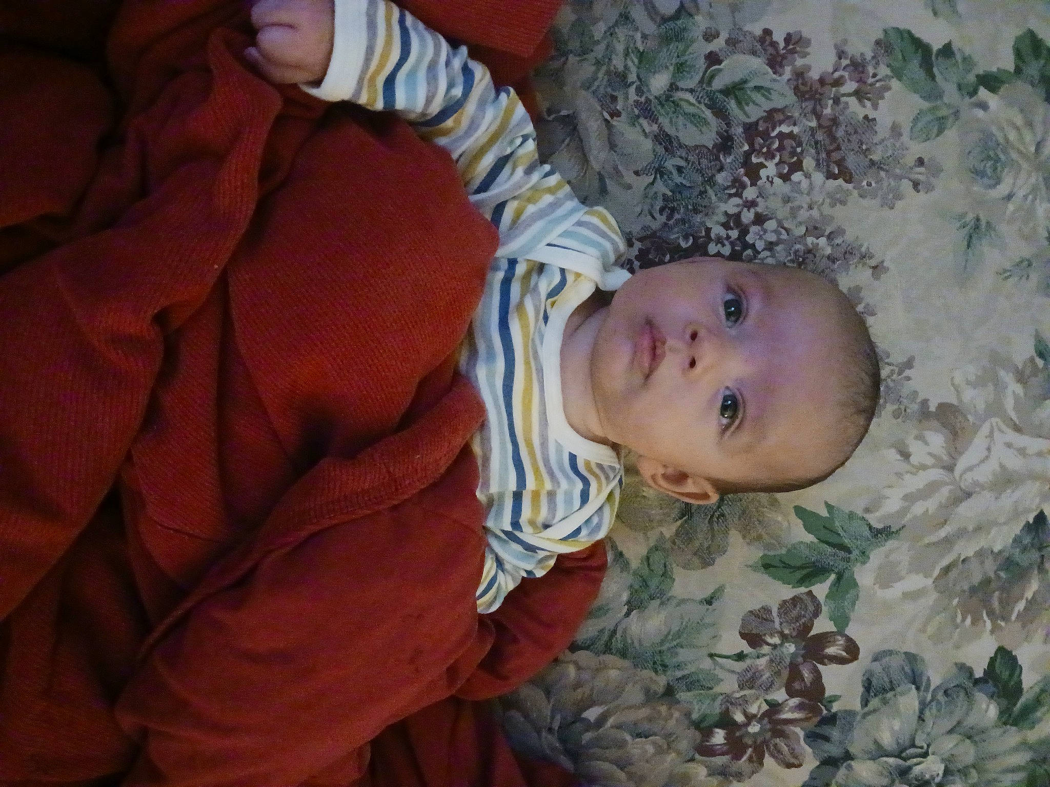 Braxtyn is registered to the contest to win money with this photo: arm, baby, baby_products, baby_toddler_clothing, cheek, child, comfort, eye, fun, grass, head, linens, nose, pattern, person, plant, skin, sleeve, toddler, tree