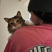 Moxxie is registered to the contest to win money with this photo: cat, fluffy_cat, tabby, long_hair, whiskers, ears, green_eyes, pet, person, man, beanie, pink_shirt, shoulder, portrait, indoors, home, close_up, cuddling, animal_face, casual_clothing