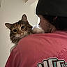 Moxxie is registered to the contest to win money with this photo: animal_face, beanie, casual_clothing, cat, close_up, cuddling, ears, fluffy_cat, green_eyes, home, indoors, long_hair, man, person, pet, pink_shirt, portrait, shoulder, tabby, whiskers